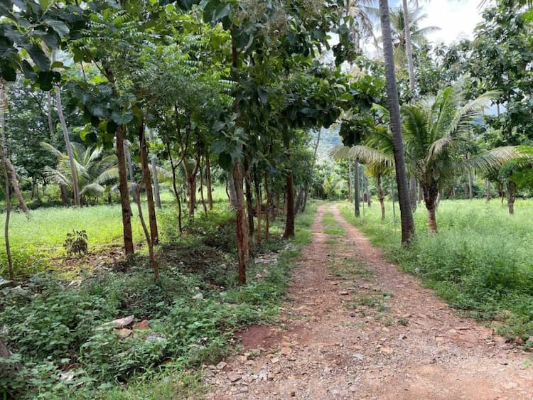 Single Property Image