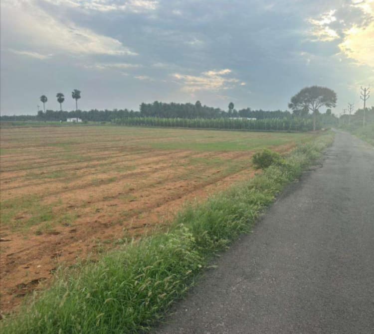 50 Cent Land for Sale in Aandipalayam