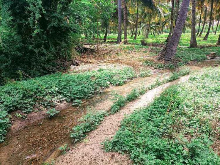 LAND SALES  AT PALANI NEAR  KANNKANPATTI 