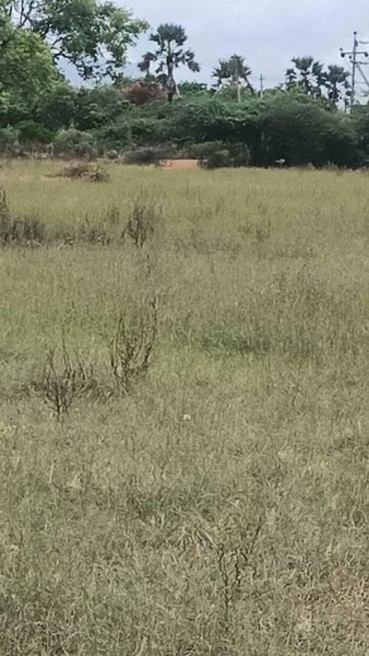 Land sale