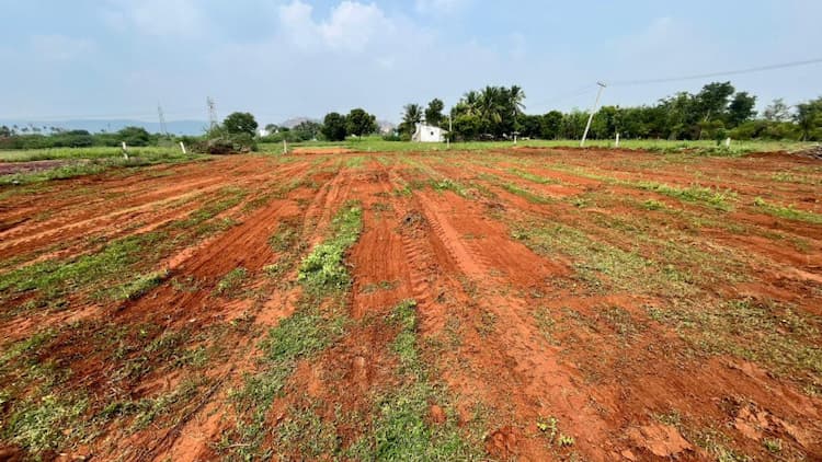 Plot sale