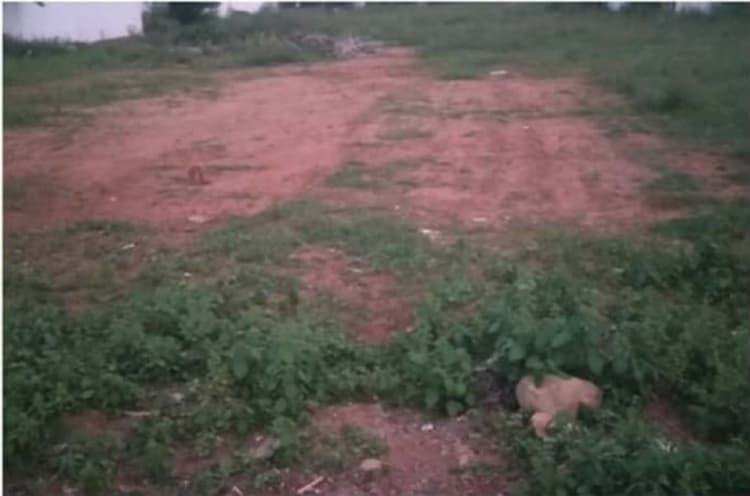 4.30 cent plot for sales