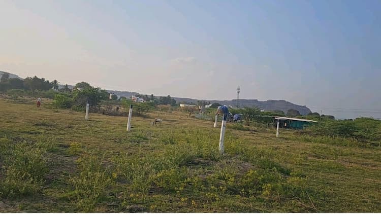 Plot sale
