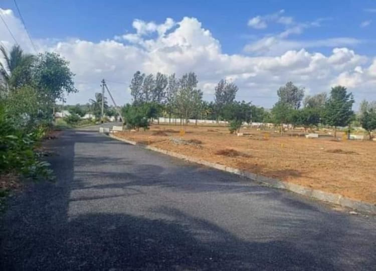 Plot for sale