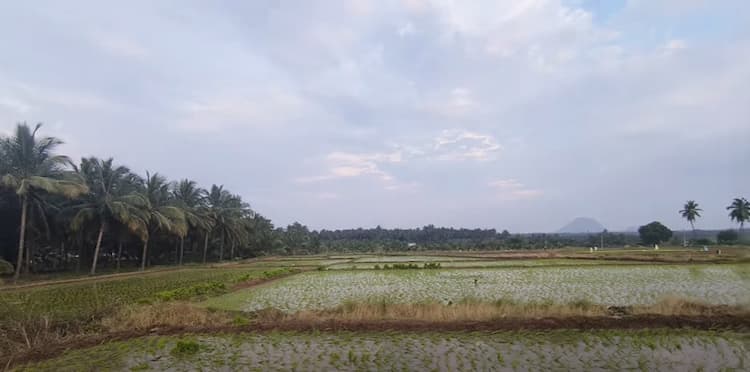 Single Property Image