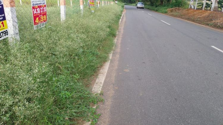 50 cents land for sale