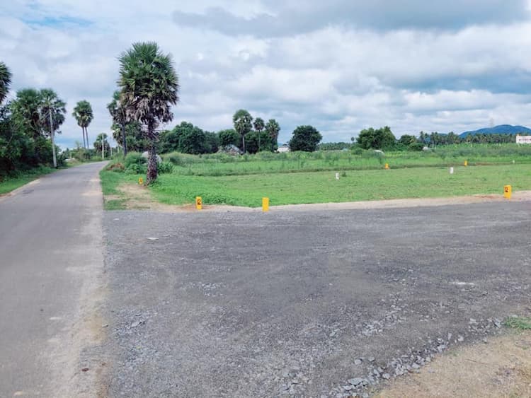 Single Property Image