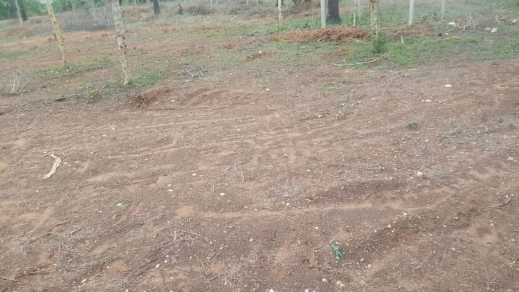 2.50 Acre Farm for Sale in Muthur