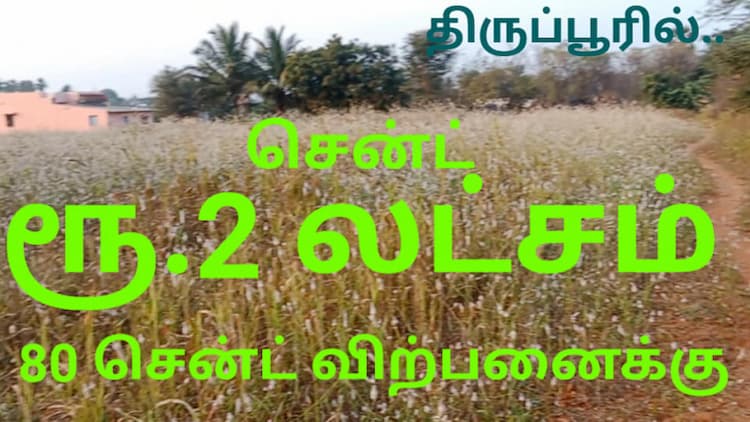 80 Cent Land for Sale