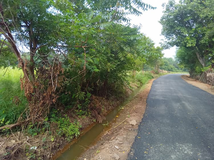 Single Property Image