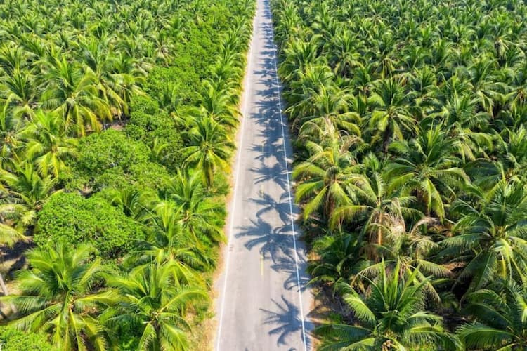 Single Property Image