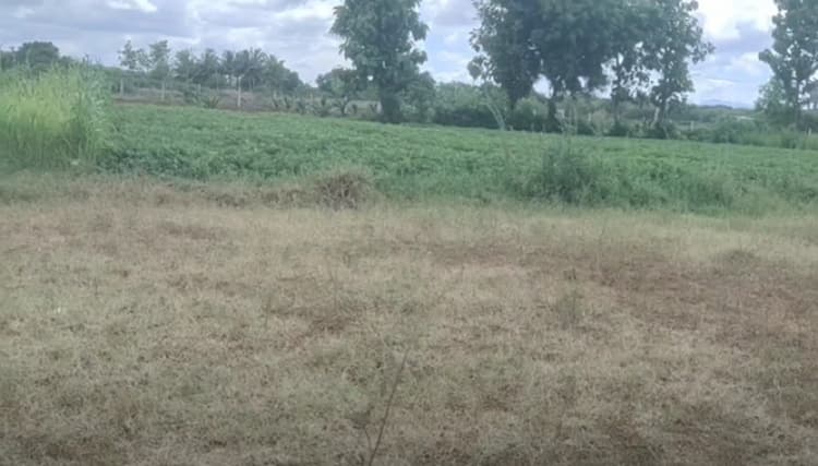 Low Budget Land for Sale