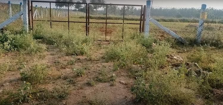 Single Property Image