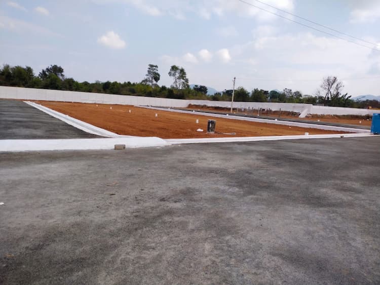 Nisha Luxury City