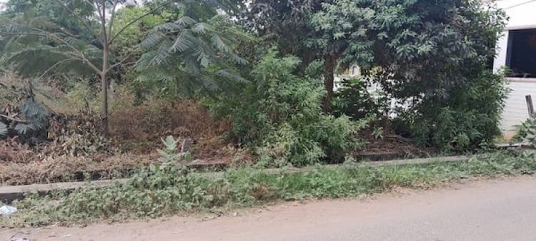 11 cent plots for sale