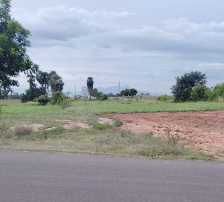 Single Property Image