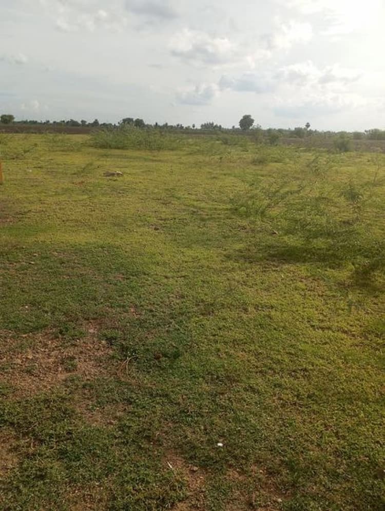 Plot sale