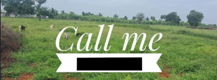 10 Acre Agriculture Land for Sale in Gudimangalam