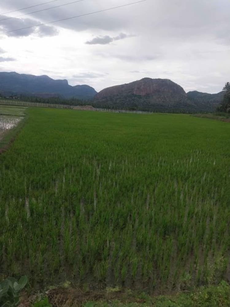 Single Property Image
