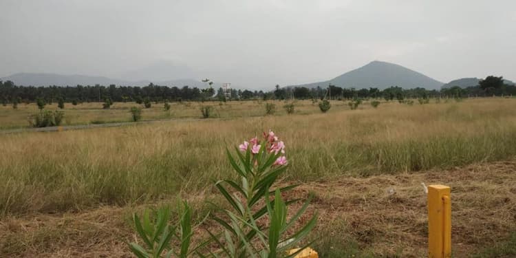 Single Property Image