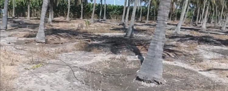 4.30 Acre Land for Sale