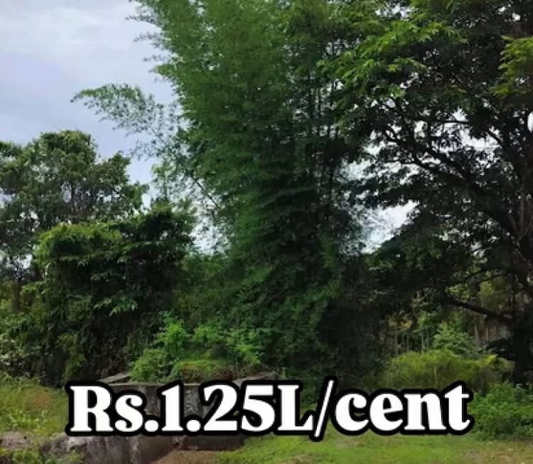 Single Property Image