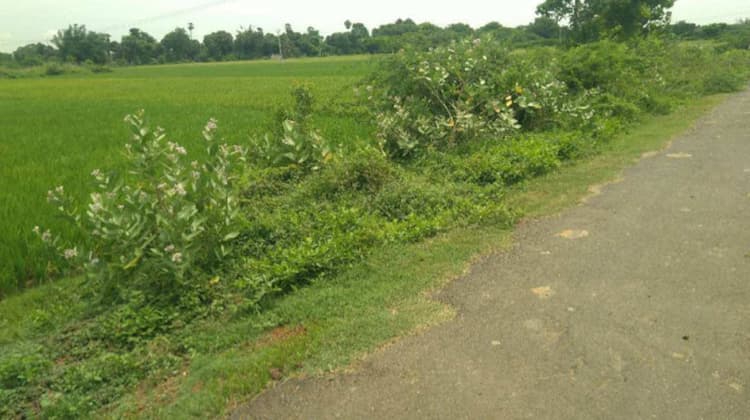 Single Property Image