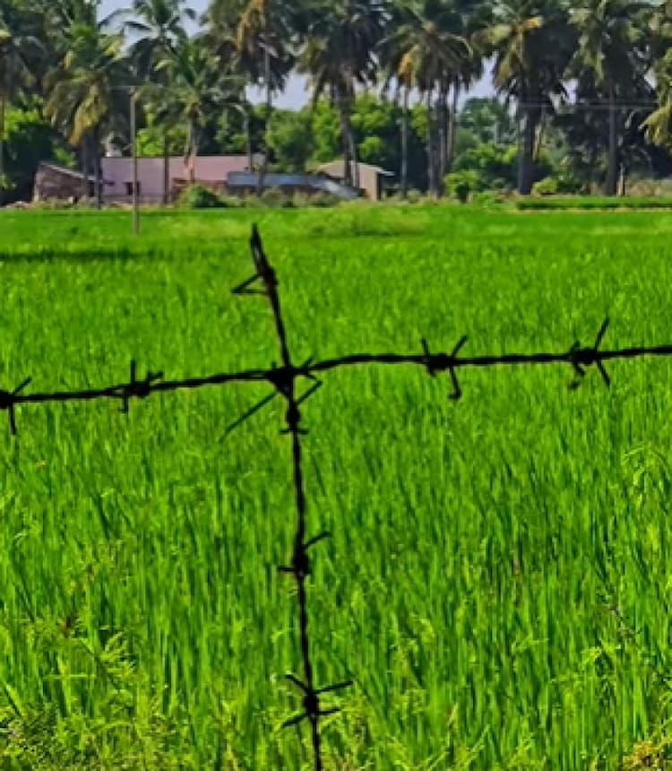 Single Property Image