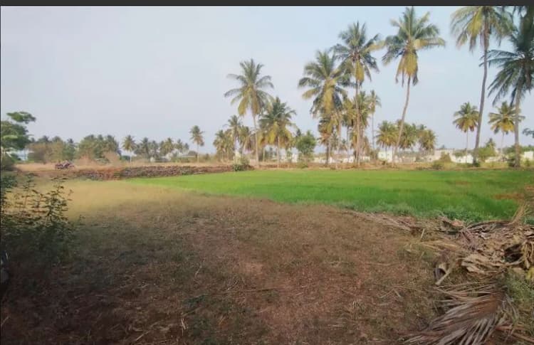 agri land for sale 
