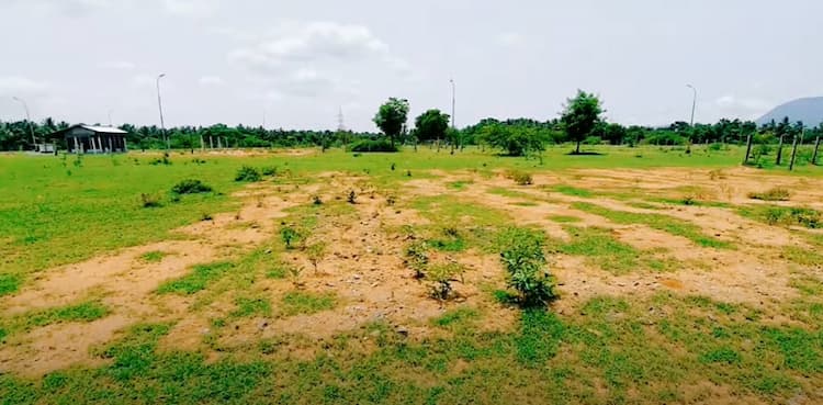 Land for Sale