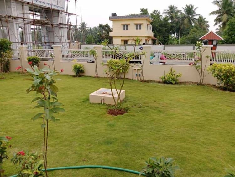 viruksha gardan amyon