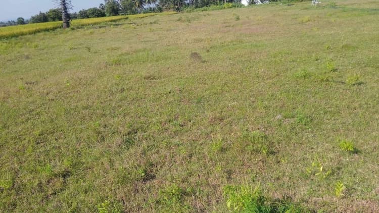 1.50 Acre Land for Sale