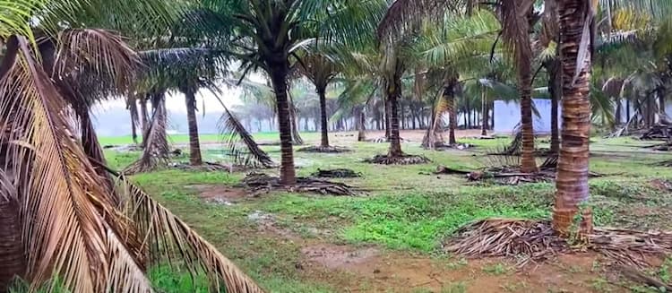 Land for Sale