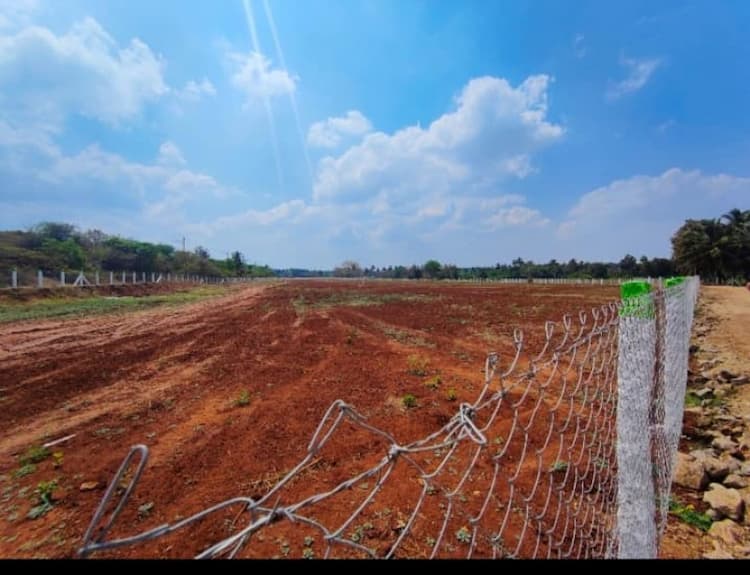 farm land for sale