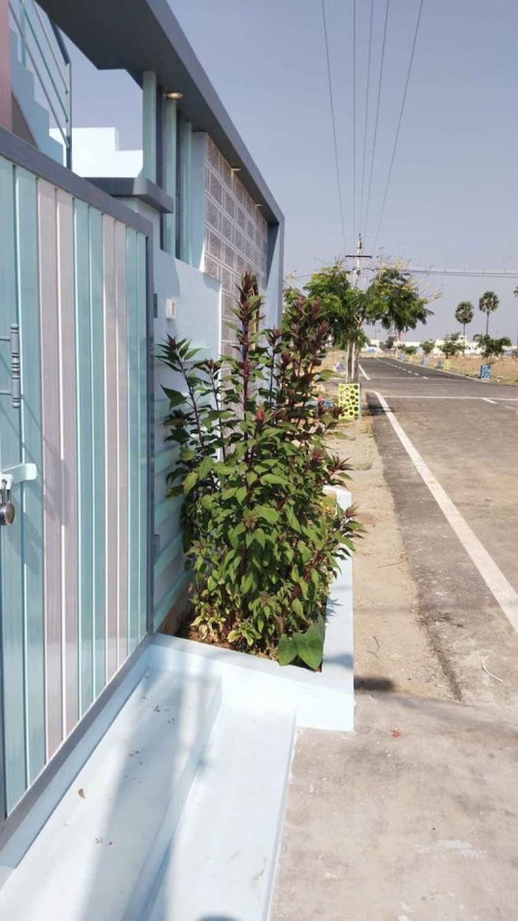 Single Property Image