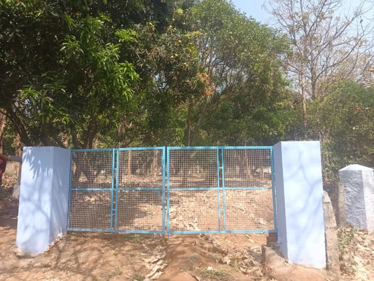 coconut farm land for sale