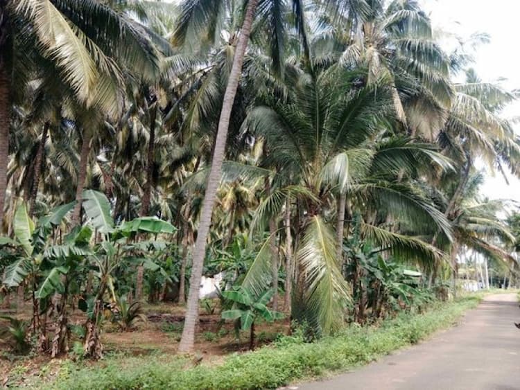 Single Property Image