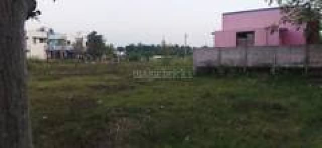 Trending Projects Image