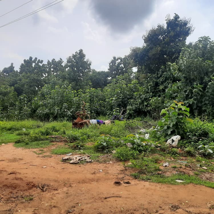 Single Property Image