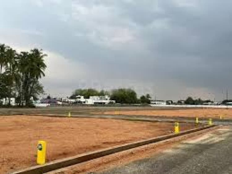 Plot sale