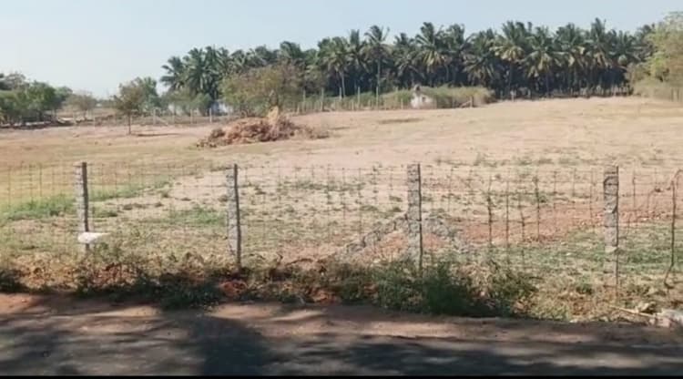 site for sale