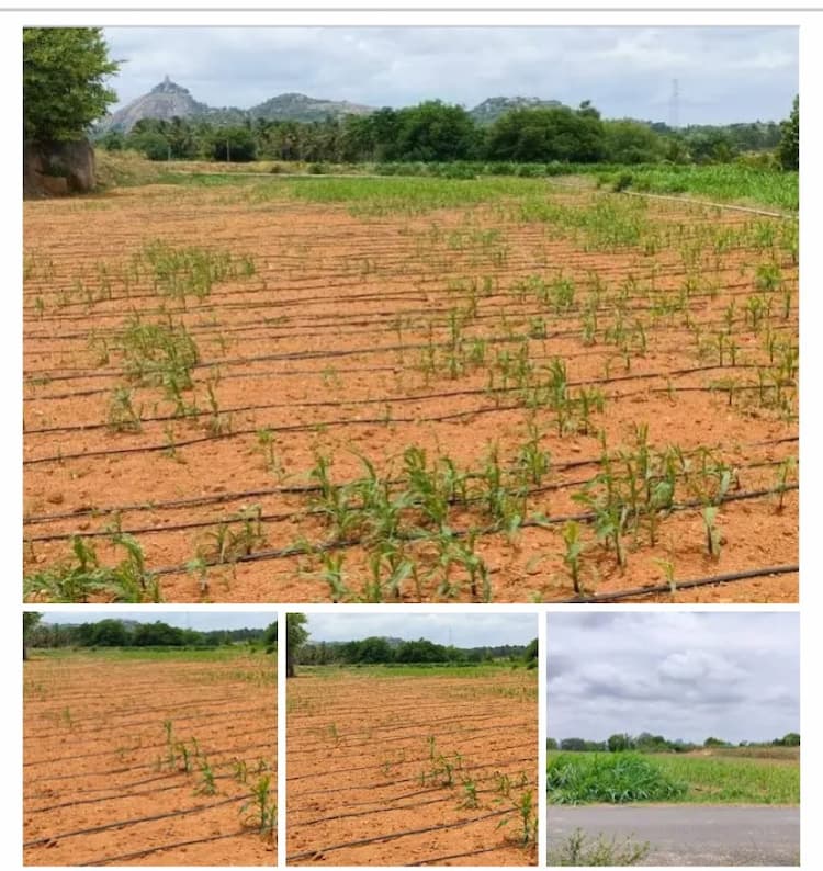 Land for sale