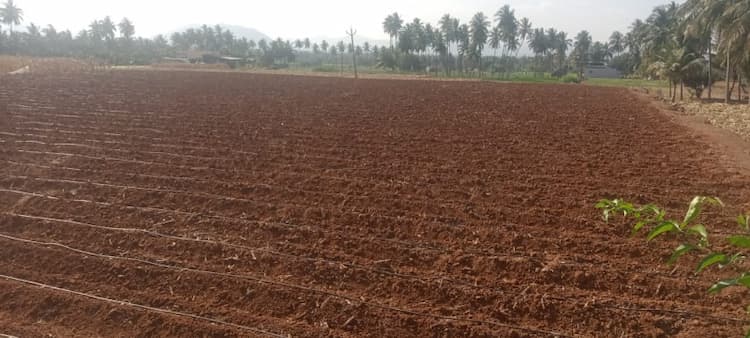 4 Acre land for sales