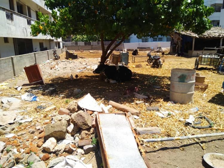 Single Property Image