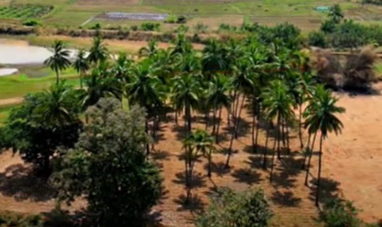 Single Property Image