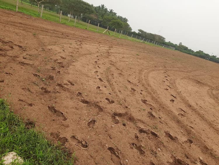 10 Acres farm Land for Sale in Dharapuram