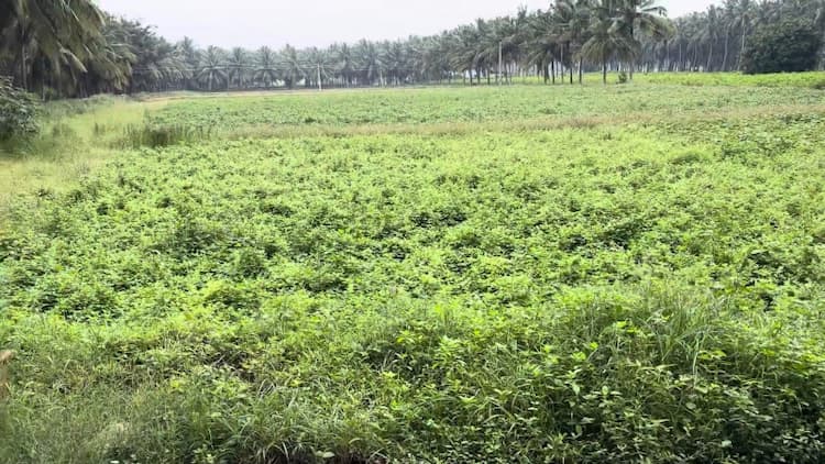 1 Acre Road Face Land for Sale