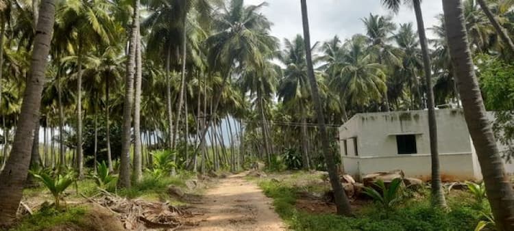 Single Property Image