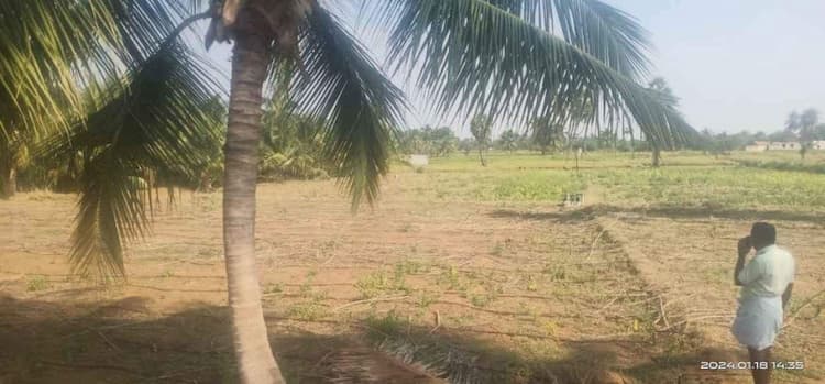 80 cents cut road base agriculture land for sales