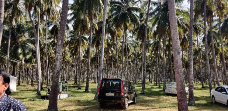 Land for sale